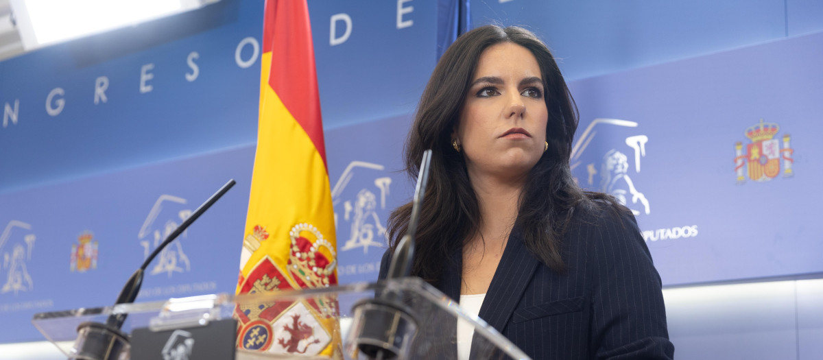 Pepa Millán, en el Congreso de los Diputados