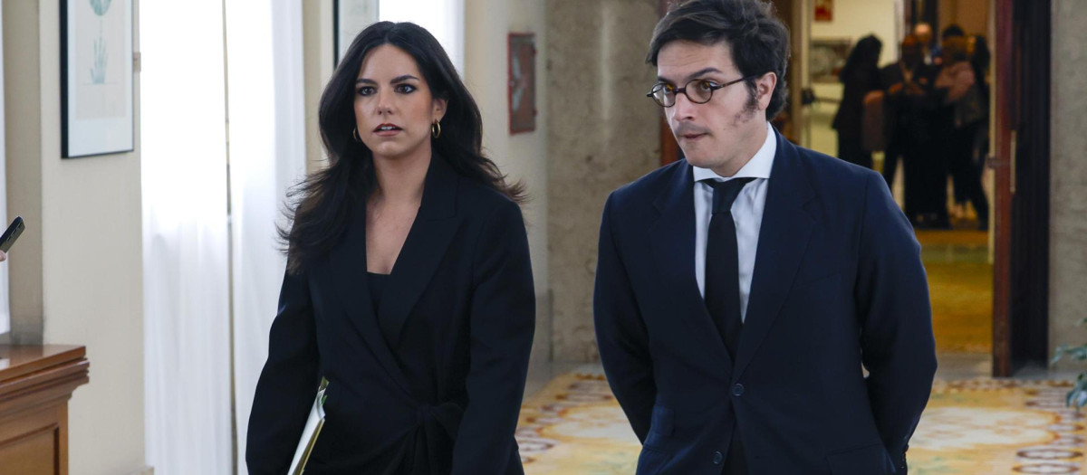 La portavoz de VOX en el Congreso, Pepa Millán (i), junto al diputado José María Figaredo en el Congreso