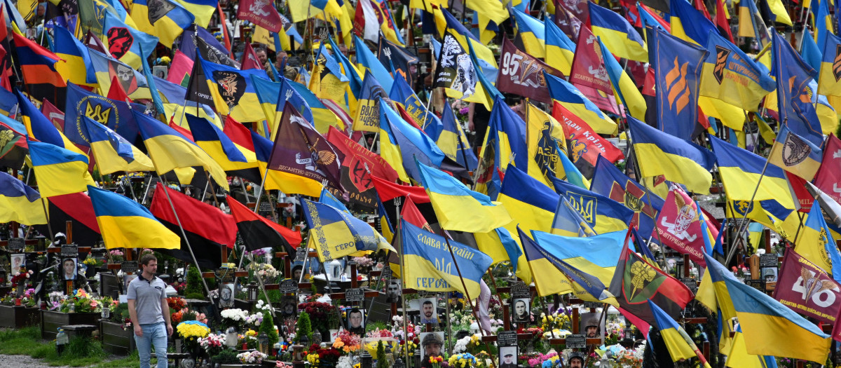 Banderas ucranianas en las tumbas de los soldados caídos en el cementerio de Leópolis