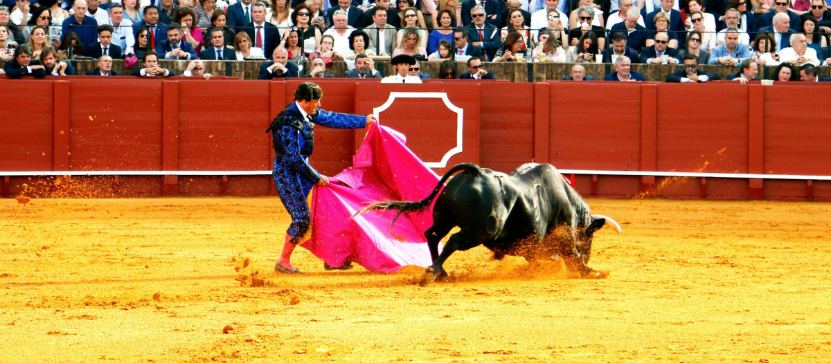 Una corrida de toros, en una imagen de archivo.
