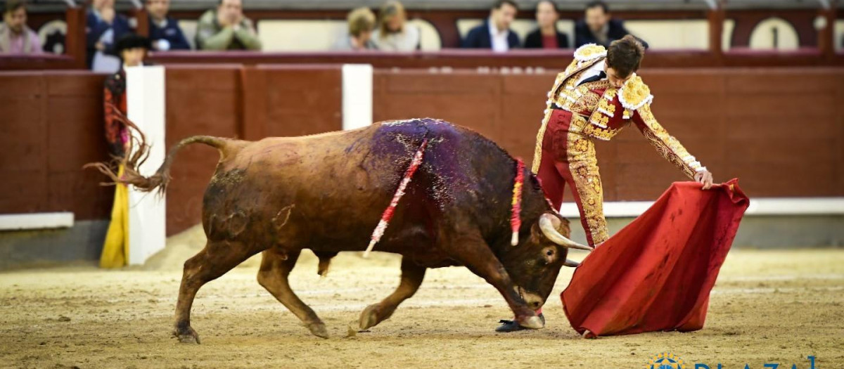 Samuel Navalón, con la muleta, en un lance de la novillada en Las ventas