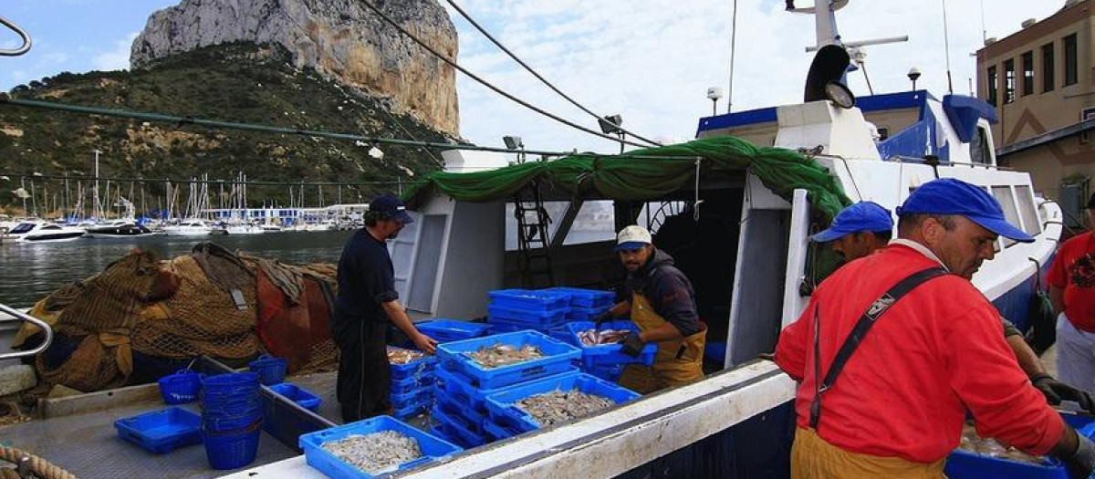 Imagen pesca Comunidad Valenciana