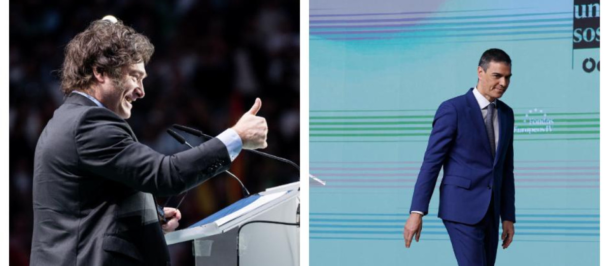 Javier Milei y Pedro Sánchez