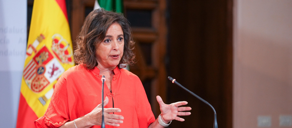 La consejera de Salud, Catalina García, en rueda de prensa