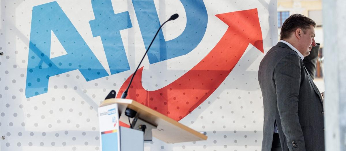Maximilian Krah, líder de AfD