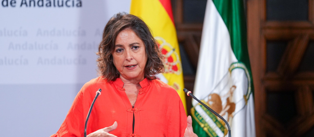 La consejera de Salud, Catalina García, en una rueda de prensa