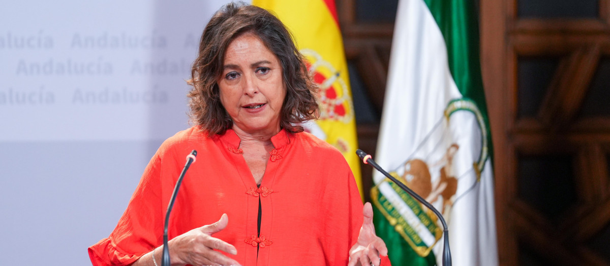 La consejera de Salud, Catalina García, en una rueda de prensa