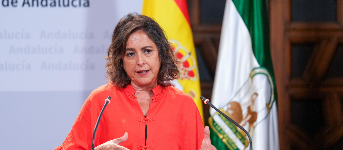 La consejera de Salud, Catalina García, en una rueda de prensa