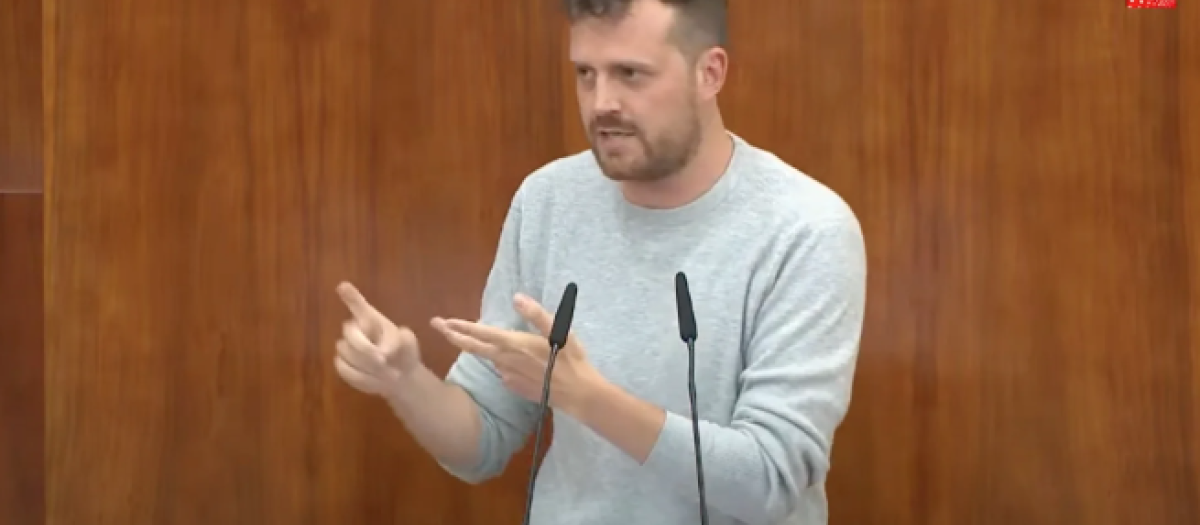 El diputado de Más Madrid, Pablo Padilla, en la Asamblea de Madrid