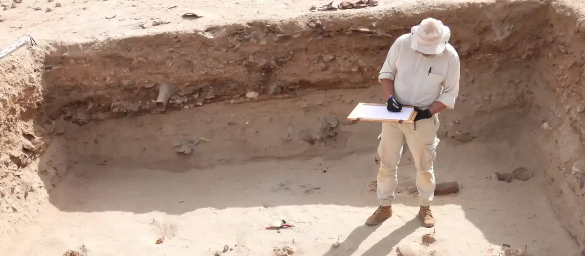 Arqueólogo de la Universidad de Breslavia excavando en Berenice Egipto