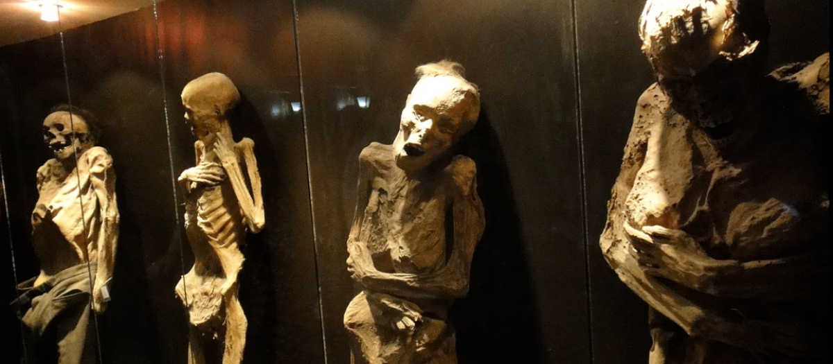 Las momias de Guanajuato