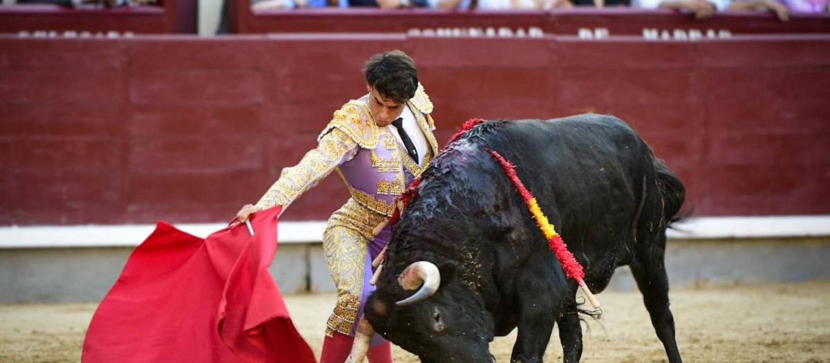 Alejandro Chicharro, en el primero de su lote, en la última novillada de San Isidro