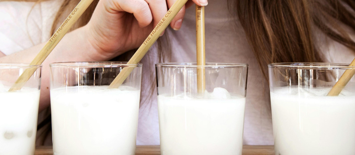 La leche es fuente fundamental de proteínas