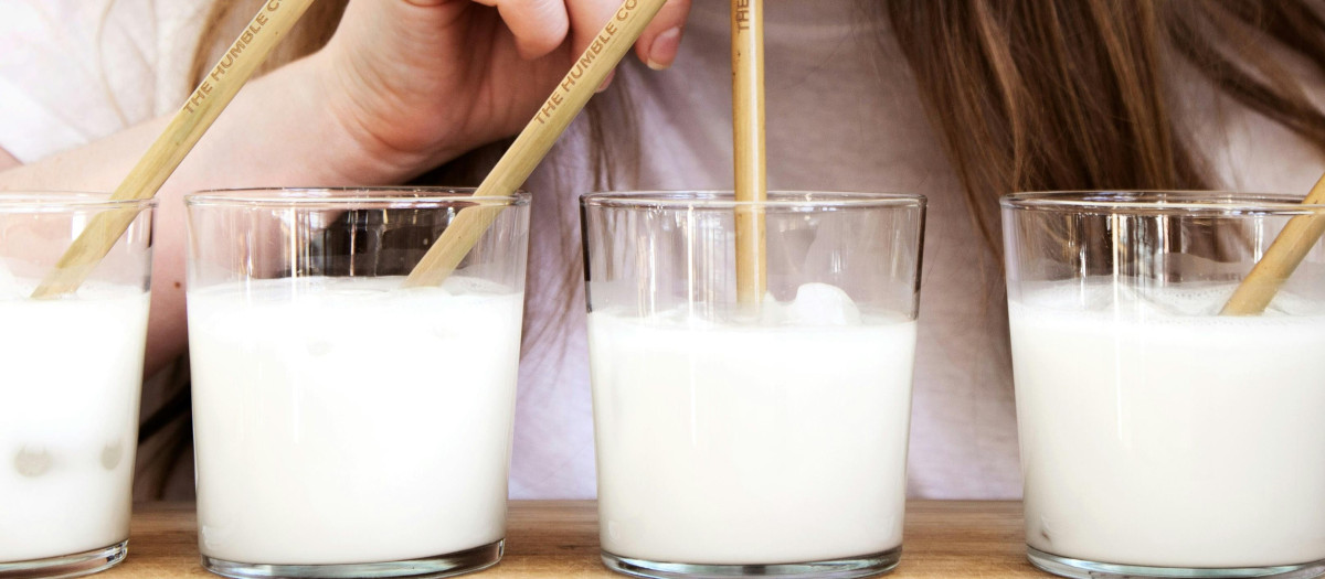 La leche es fuente fundamental de proteínas