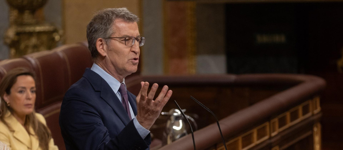 El presidente del PP, Alberto Núñez Feijóo, interviene durante una sesión plenaria, en el Congreso