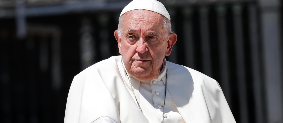 El Papa, durante la audiencia de este miércoles