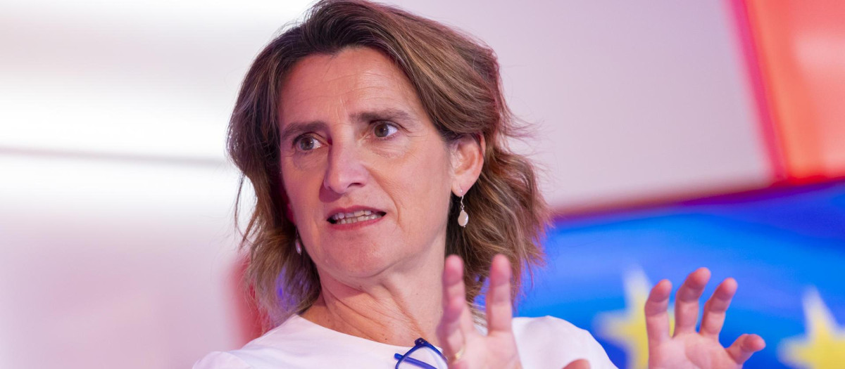 La cabeza de lista del PSOE a las elecciones al Parlamento Europeo, Teresa Ribera
