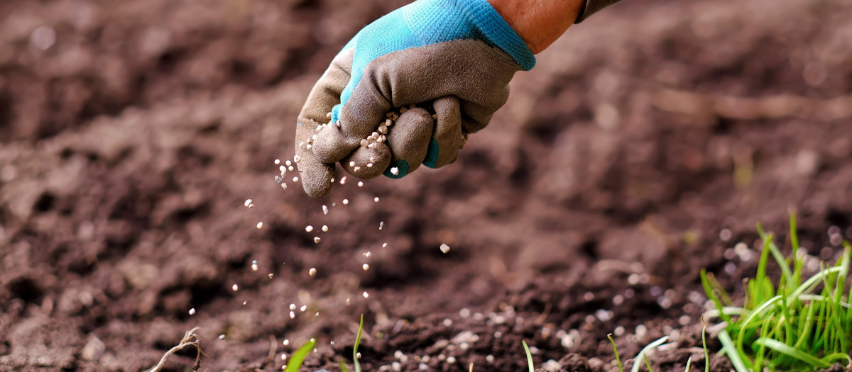 Un agricultor utiliza un fertilizante