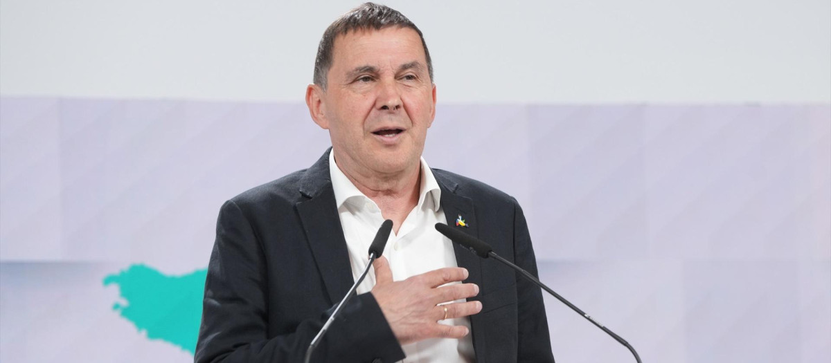 El coordinador general de la coalición, Arnaldo Otegi, durante una rueda de prensa