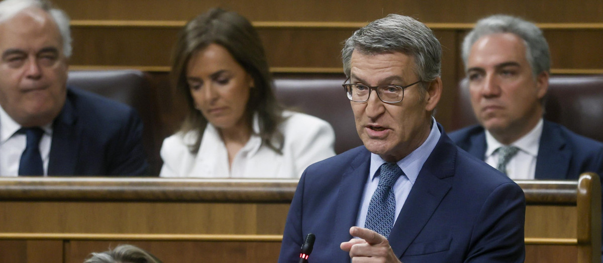 Feijóo durante su intervención en la sesión de control al Ejecutivo este miércoles