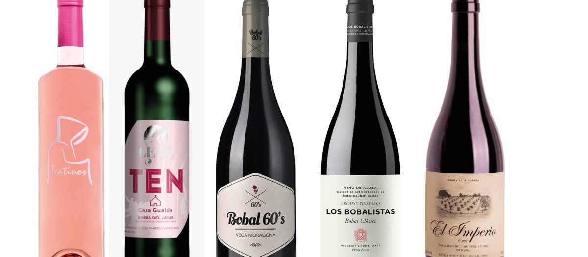 Vinos de RIbera de Jucar