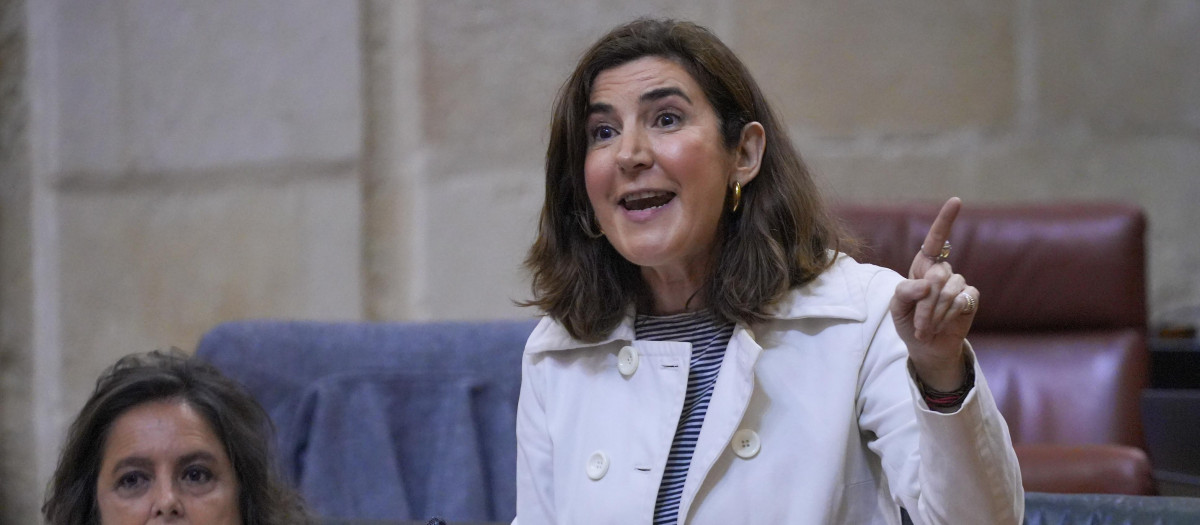 La consejera de Empleo, Rocío Blanco, durante un pleno del Parlamento de Andalucía