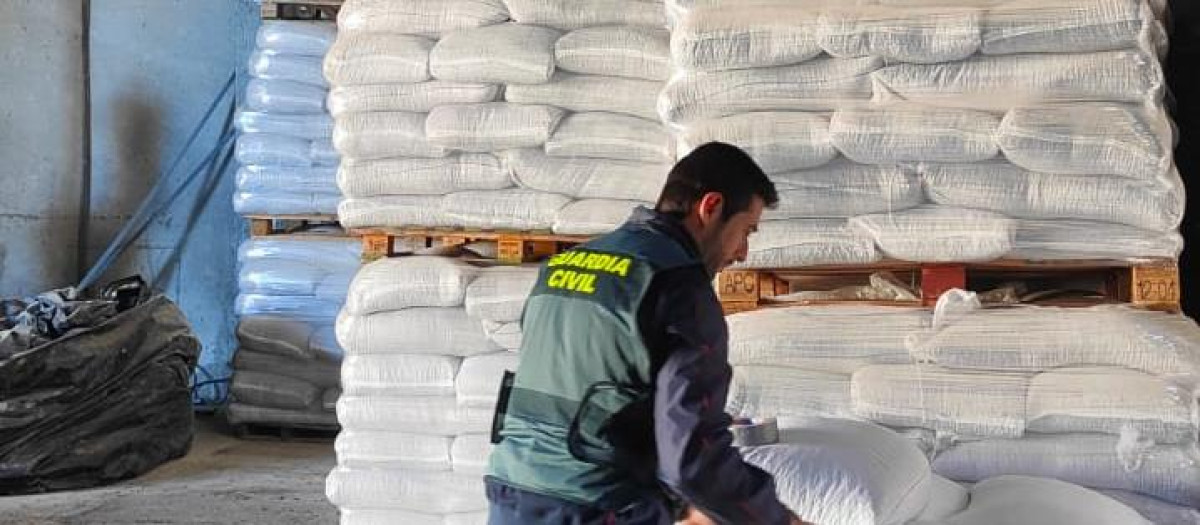 El SEPRONA de la Guardia Civil de Córdoba investiga a seis personas por la comercialización y siembra fraudulenta de semilla