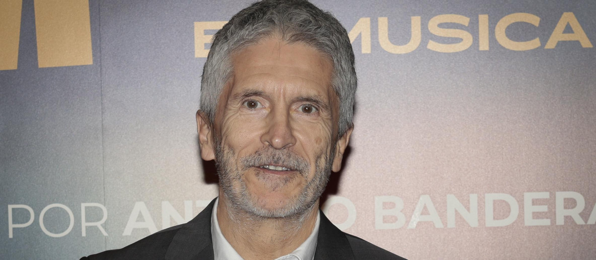 Minister Grande Marlaska at photocall for premiere show Company in Madrid on Thursday, 17 November 2022.