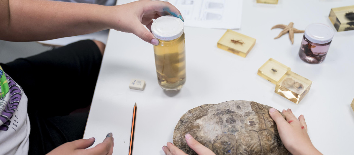 Varios niños con un caparazón de tortuga y diferente material escolar en Madrid