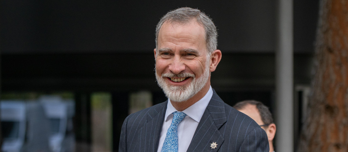 El Rey Felipe VI, en directo