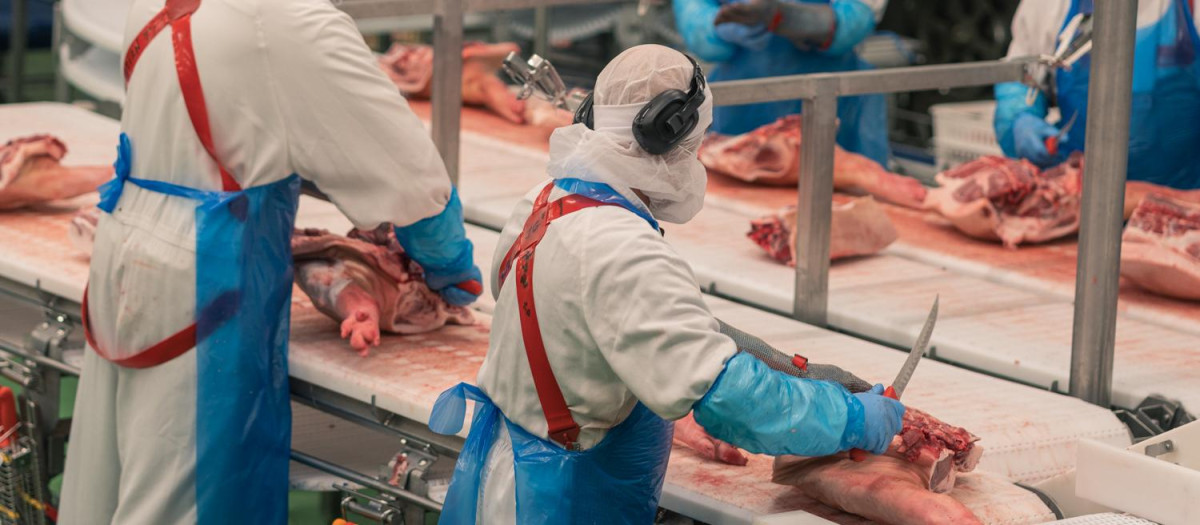 Trabajadores de una empresa de productos cárnicos.
