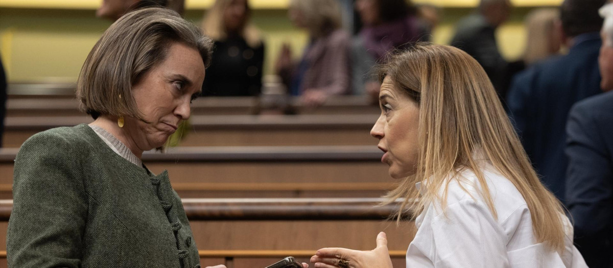 La secretaria general del PP, Cuca Gamarra (i), y la vicesecretaria de Igualdad, Conciliación y Política Social del PP, Ana Alós (d), durante una sesión plenaria, en el Congreso