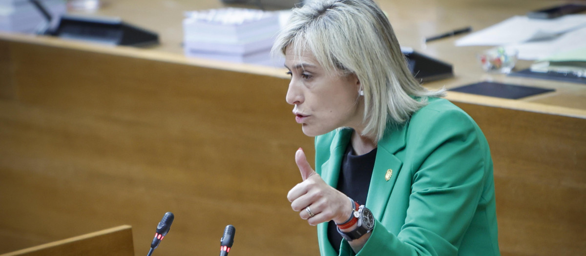 La consejera valenciana de Justicia e Interior, Elisa Núñez, en las Cortes autonómicas