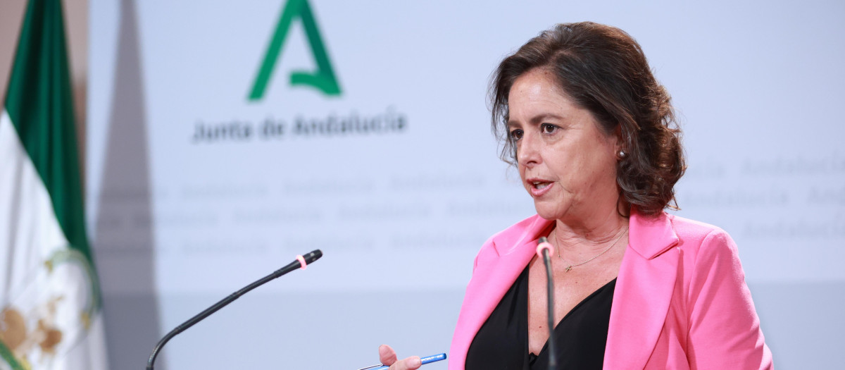 La consejera de Salud y Consumo, Catalina García, en la rueda de prensa de presentación del plan de verano del SAS