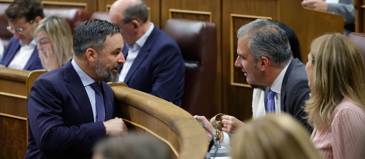 Santiago Abascal y Javier Ortega Smith durante el pleno del Congreso el pasado martes