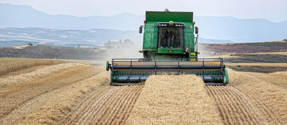 Cosechadora trabaja en un campo de trigo