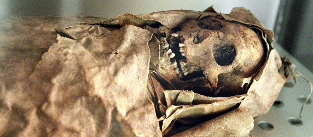 Una de las momias más antiguas de Canarias que se conservan en el museo Arqueológico de Tenerife