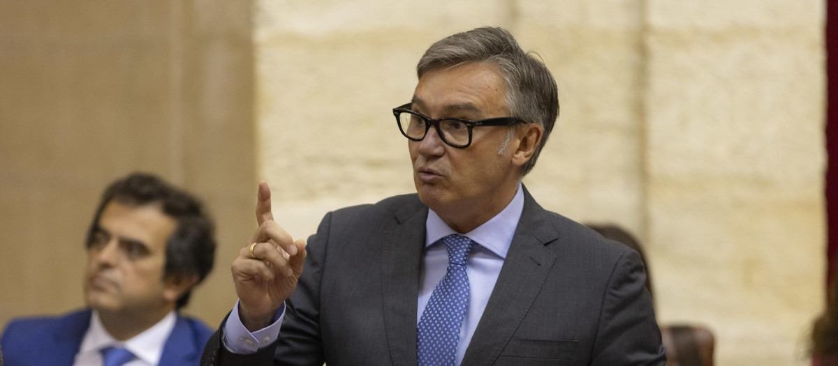 El portavoz de Vox en Andalucía, Manuel Gavira, durante su debate con Juanma Moreno en el Parlamento andaluz