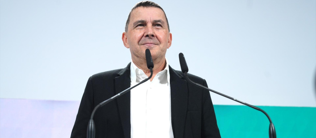 El coordinador general de Bildu, Arnaldo Otegi, durante una rueda de prensa