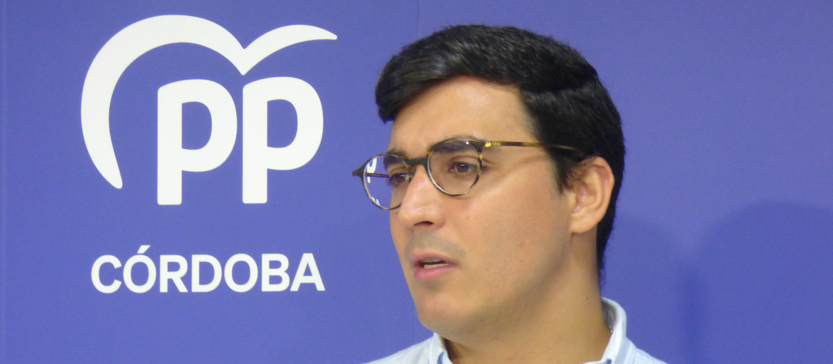 El diputado autonómico y portavoz de Universidad, Investigación e Innovación del PP en el Parlamento andaluz, José Carlos García