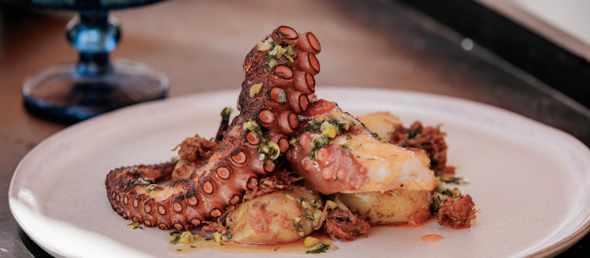 Pulpo