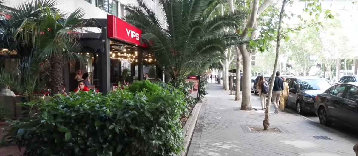 Calle Padre Damián