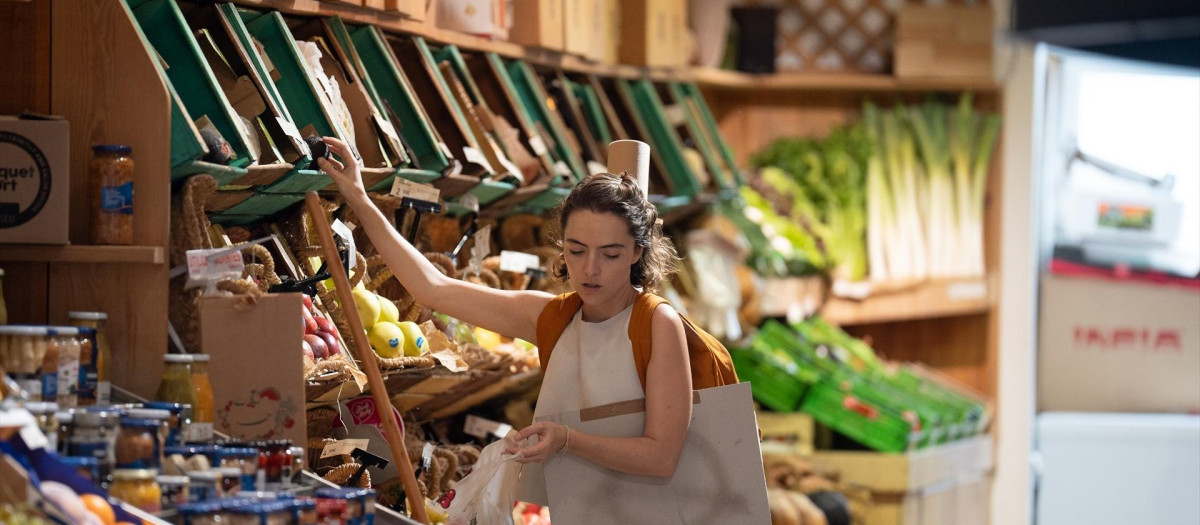 Una dependienta trabaja en una frutería, a 17 de octubre de 2023, en Barcelona, Catalunya (España). Más de 50.000 pequeños comercios han tenido que cerrar en los últimos diez años, según datos de la Unión de Profesionales y Trabajadores Autónomos (UPTA). Esto se debe a que, en el año 2013, desarrollaban su actividad en el sector del comercio minorista más de 796.000 personas trabajadoras por cuenta propia, frente a los 746.006 autónomos que desarrollan esta actividad en agosto, con la consecuente pérdida de empleo en el pequeño comercio.
17 OCTUBRE 2023;BARCELONA;CATALUNYA;CATALUÑA;COMERCIOS
David Zorrakino / Europa Press
(Foto de ARCHIVO)
17/10/2023