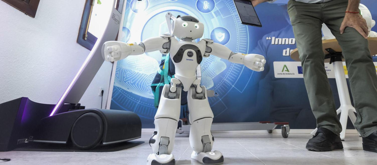 Los robots implementados ayudan, además, a que las personas dependientes se sientan acompañadas en sus hogares