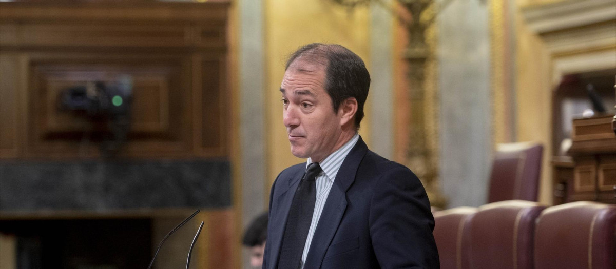 El ex diputado de Vox, Víctor González, en el Congreso.