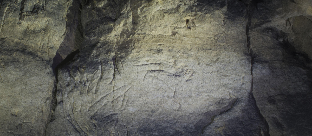 Arte rupestre encontrado en la Cueva Negra, en Ayora