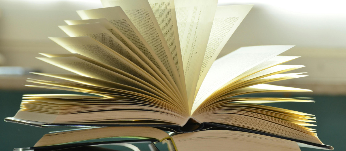 Libros. Pexels