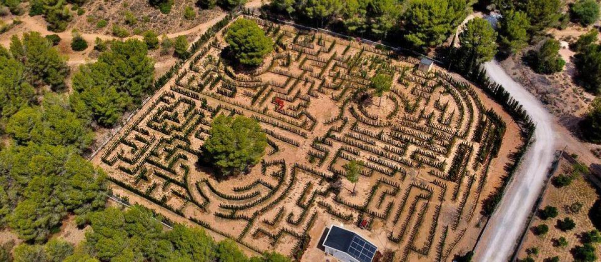 Imagen de cómo está quedando el proyecto de laberinto
