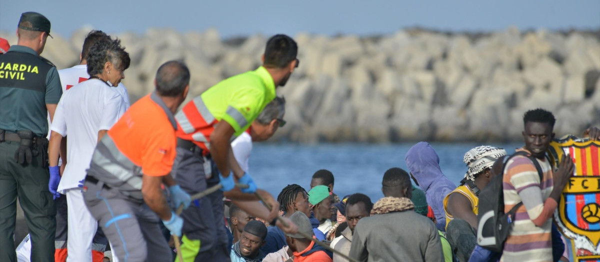 Los servicios sanitarios reciben una patera, en el muelle de La Restinga (El Hierro)