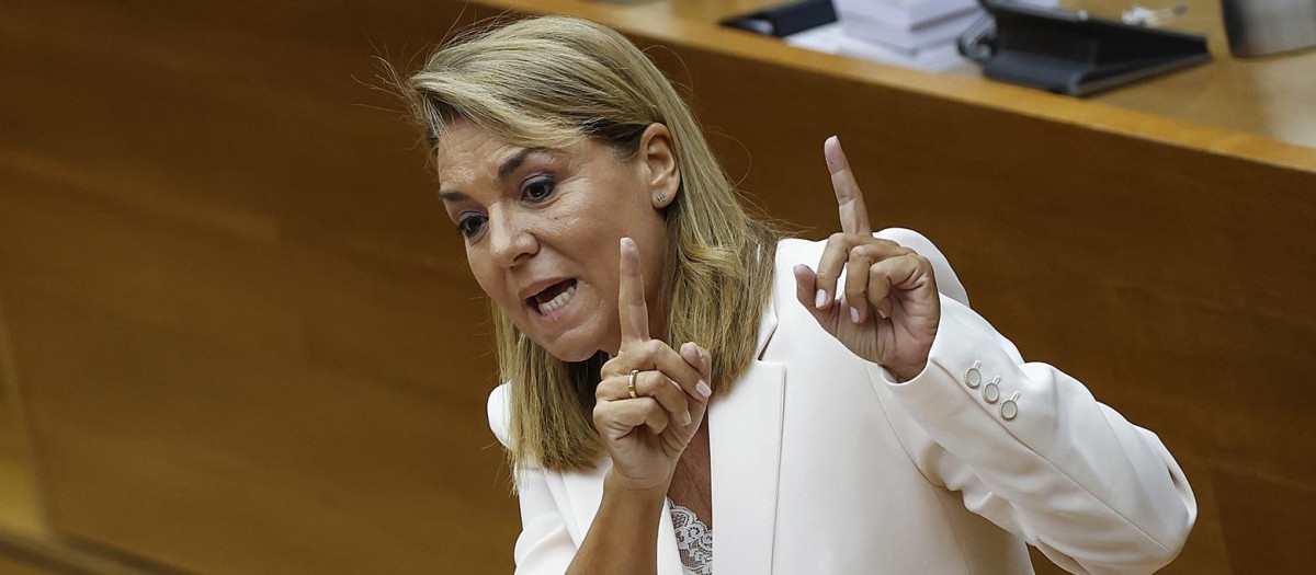 La vicepresidenta y consejera de Servicios Sociales, Igualdad y Vivienda de la Generalitat Valenciana, Susana Camarero